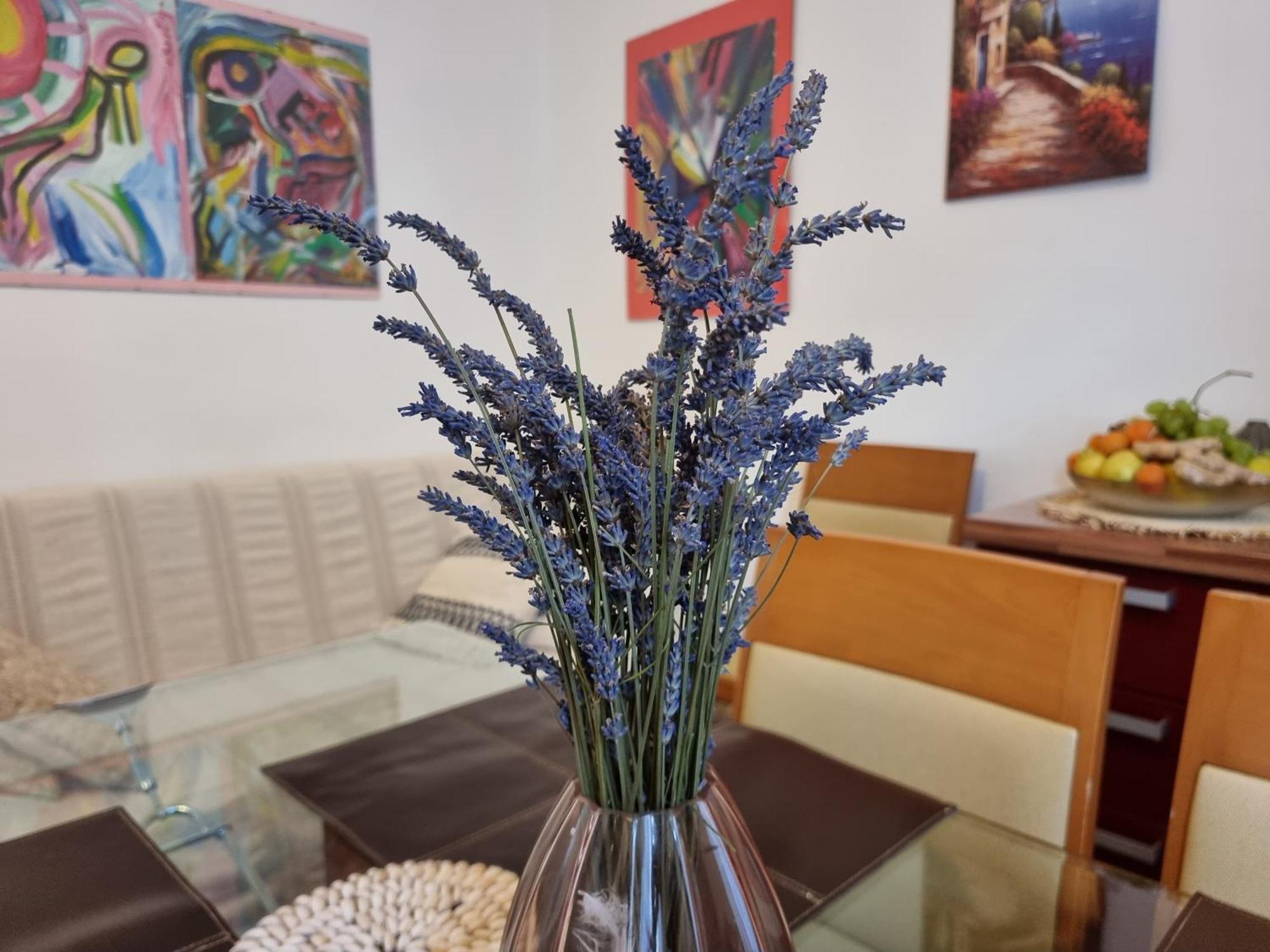 ***Apartment Magic &Summervibes*** Рієка Екстер'єр фото