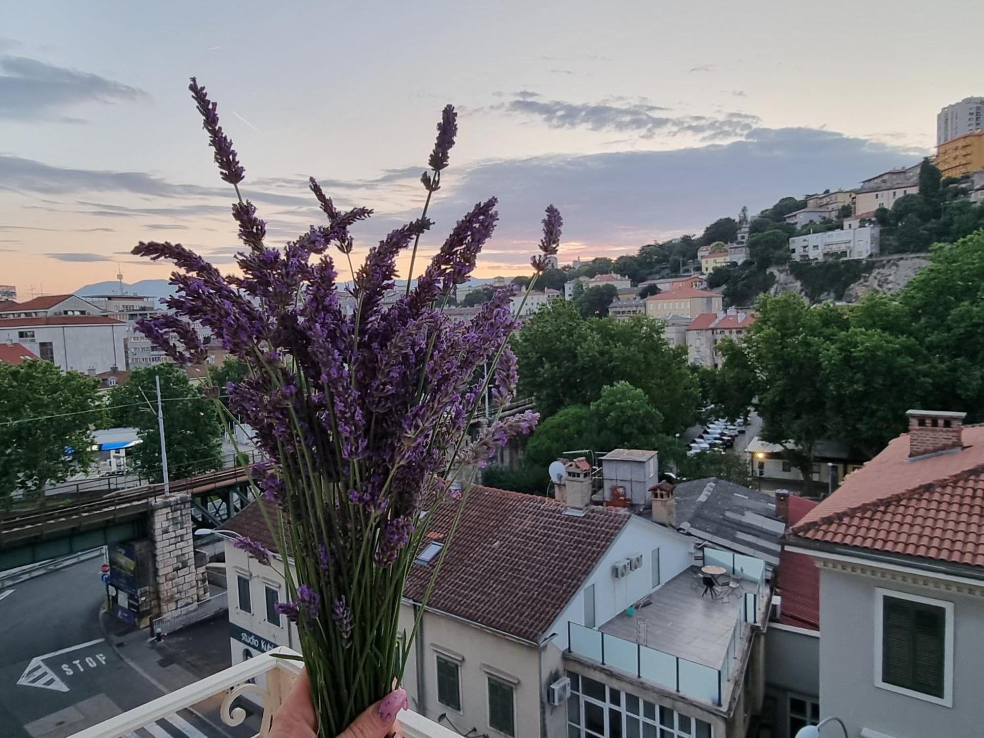 ***Apartment Magic &Summervibes*** Рієка Екстер'єр фото